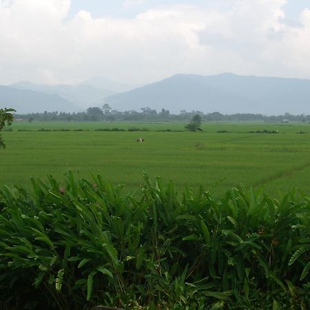 Rico Resort Chiang Kham Exteriér fotografie